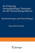 Betriebsstoerungen Und Warteschlangen