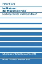 Indikatoren Der Modernisierung