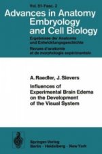 Influences of Experimental Brain Edema on the Development of the Visual System