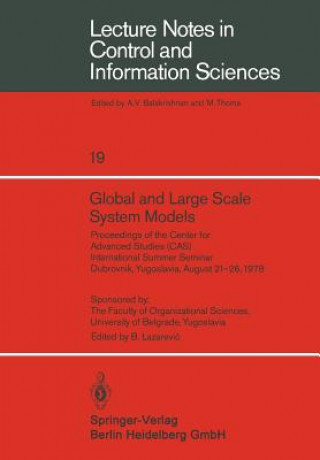 Global and Large Scale System Models