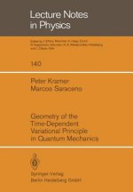 Geometry of the Time-Dependent Variational Principle in Quantum Mechanics, 1