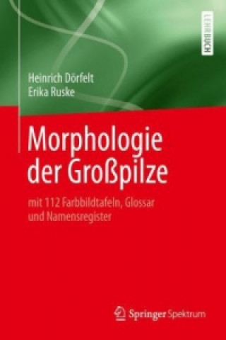 Morphologie der Gropilze