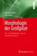 Morphologie der Gropilze