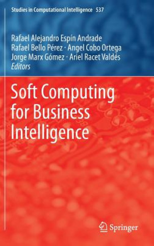 Soft Computing for Business Intelligence