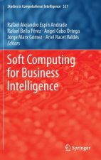 Soft Computing for Business Intelligence
