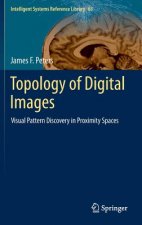 Topology of Digital Images