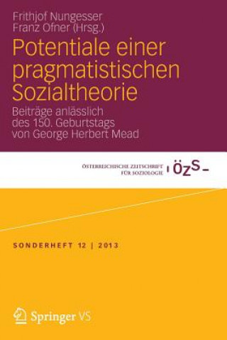 Potentiale einer pragmatistischen Sozialtheorie