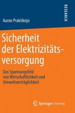 Sicherheit der Elektrizitatsversorgung