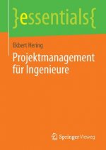 Projektmanagement fur Ingenieure
