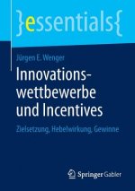 Innovationswettbewerbe Und Incentives