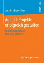 Agile It-Projekte Erfolgreich Gestalten