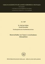 Brennverhalten Von Tonen in Verschiedenen Atmosph ren