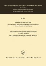 Elektronenmikroskopische Untersuchungen  ber Die Struktur Der Chloroplasten Einiger Niederer Pflanzen