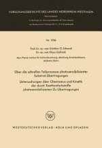 UEber Die Schnellen Teilprozesse Photosensibilisierter Substrat-UEbertragungen