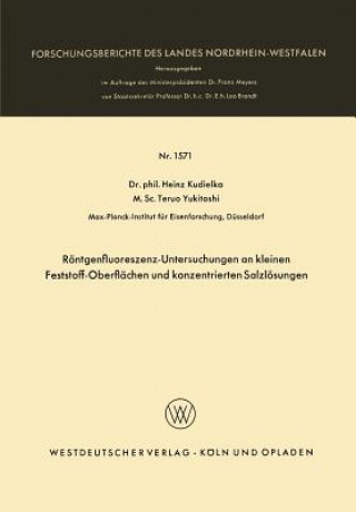 R ntgenfluoreszenz-Untersuchungen an Kleinen Feststoff-Oberfl chen Und Konzentrierten Salzl sungen