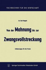 Von Der Mahnung Bis Zur Zwangsvollstreckung