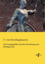 Lymphgefasse und ihre Beziehung zum Bindegewebe