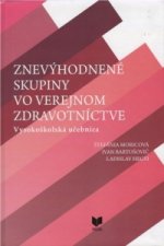 Znevýhodnené skupiny vo verejnom zdravotníctve