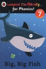 Big, Big Fish: Ladybird I'm Ready for Phonics Level 7