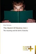 Sketch Of Destiny Vol.1