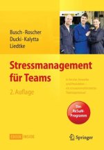 Stressmanagement fur Teams