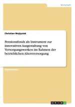 Pensionsfonds als Instrument zur innovativen Ausgestaltung von Versorgungswerken im Rahmen der betrieblichen Altersversorgung