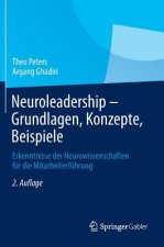 Neuroleadership - Grundlagen, Konzepte, Beispiele