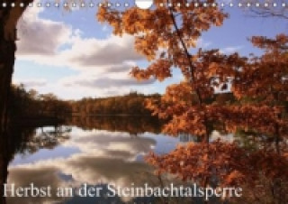 Herbst an der Steinbachtalsperre (Wandkalender immerwährend DIN A4 quer)
