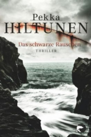 Das schwarze Rauschen