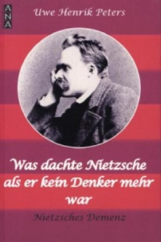 Was dachte Nietzsche, als er kein Denker mehr war?