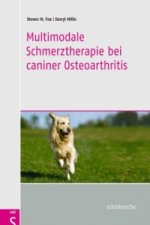 Multimodale Schmerztherapie bei caniner Osteoarthritis