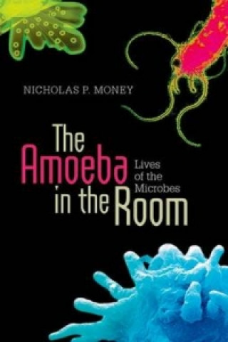 Amoeba in the Room