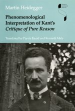 Phenomenological Interpretation of Kant's Critique of Pure Reason