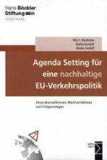 Agenda Setting für eine nachhaltige EU-Verkehrspolitik