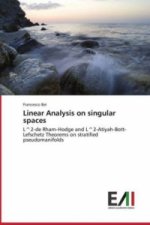 Linear Analysis on singular spaces