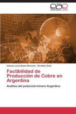 Factibilidad de Produccion de Cobre en Argentina