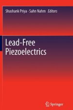 Lead-Free Piezoelectrics