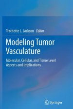 Modeling Tumor Vasculature