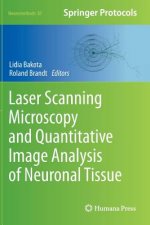 Laser Scanning Microscopy and Quantitative Image Analysis of Neuronal Tissue