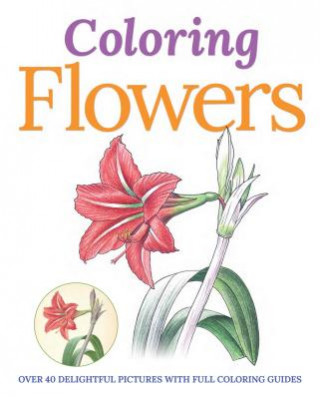 Colouring Flowers