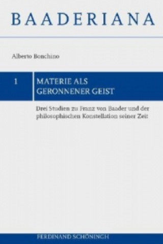 Materie als geronnener Geist