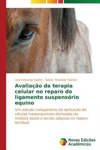 Avaliacao da terapia celular no reparo do ligamento suspensorio equino