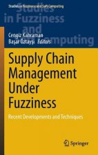 Supply Chain Management Under Fuzziness