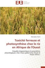 Toxicite Ferreuse Et Photosynthese Chez Le Riz En Afrique de L'Ouest