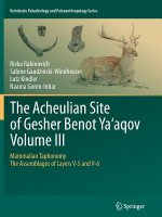 Acheulian Site of Gesher Benot  Ya'aqov  Volume III