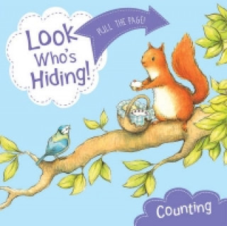 Look Who's Hiding: Counting