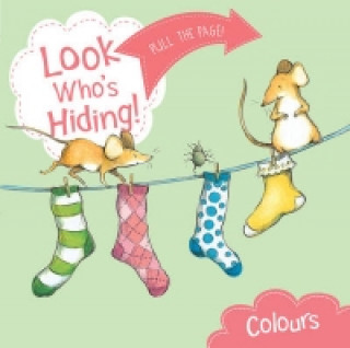 Look Who's Hiding: Colours