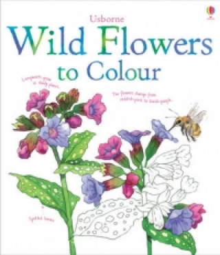 Wild Flowers to Colour