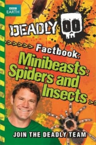 Minibeasts, Spiders and Insects