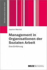 Management in Organisationen der Sozialen Arbeit